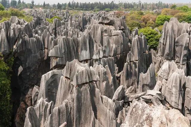 Grey limestone pinnacles of the Stone Forest at Shilin near Kunming, packed tightly together with green trees on the horizon.