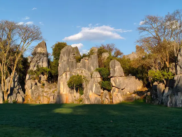 A cluster of limestone rock pillars in the Stone Forest at Shilin in warm late-afternoon light, with a lawn in the foreground and blue sky above.