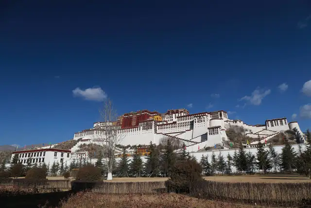 The white and red Potala Palace rising over Lhasa under a deep blue winter sky, with pine trees in front.