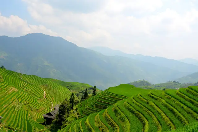 Bright green rice terraces curving across the hillsides of Longji in Longsheng, Guilin, with misty mountain ridges and a cloudy sky behind.